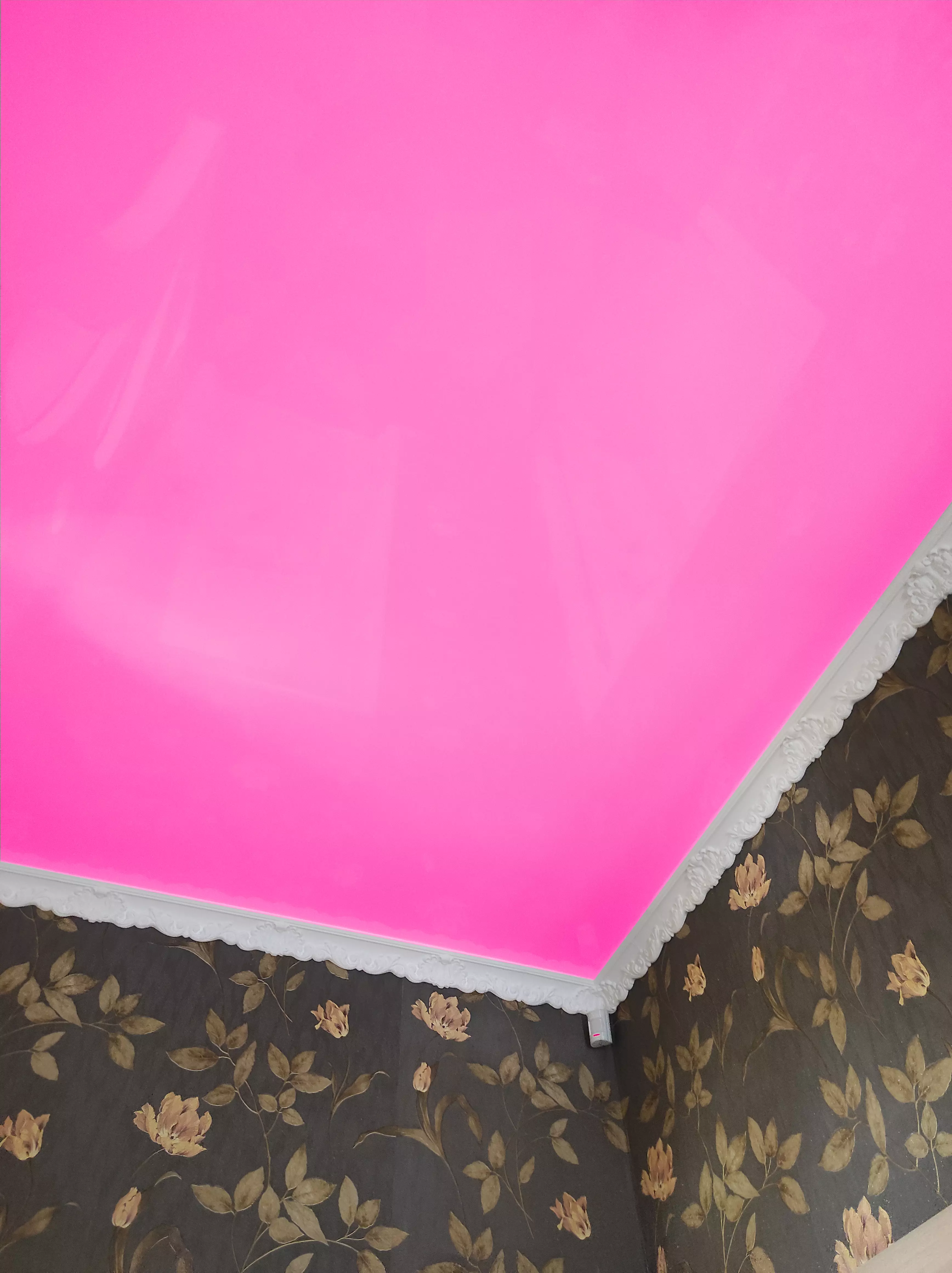 Старый Оскол, Хмелёва, 5, фото 2